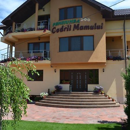 Pensiunea Codrii Mamului Lungesti Exteriér fotografie
