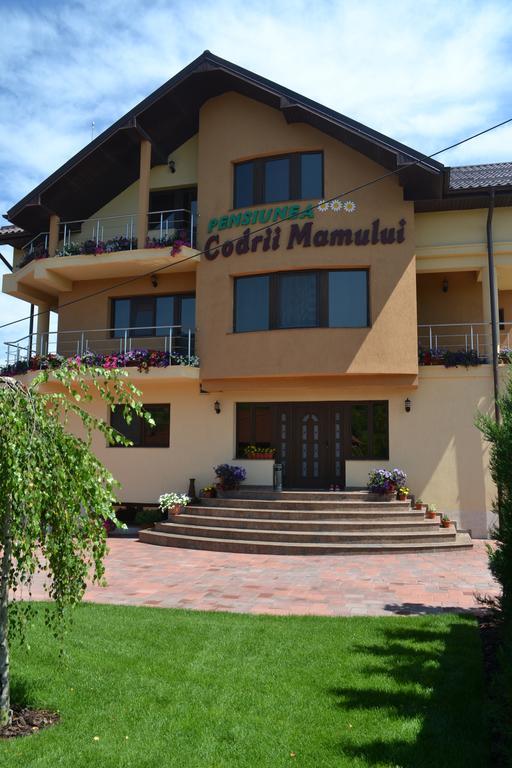 Pensiunea Codrii Mamului Lungesti Exteriér fotografie